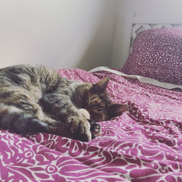 Meet your Posher, H - Picture 1 of 2